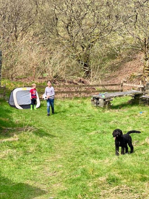 Yr Hen Siop - 4 Bed Welsh Cottage In Snowdonia Penmachno Zewnętrze zdjęcie